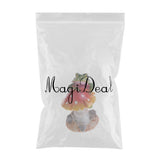 Max Resin Fairy Garden Ornament Miniature Home Decor Frog Red Mushroom