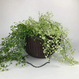 Max Plastic Hanging Flower Pot Planter Basket for Plant Holder+Chain Coffee- S