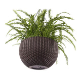 Max Plastic Hanging Flower Pot Planter Basket for Plant Holder+Chain Coffee- L