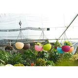 Max Plastic Hanging Flower Pot Planter Basket for Plant Holder+Chain White- S
