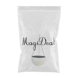 Max Plastic Hanging Flower Pot Planter Basket for Plant Holder+Chain White- L