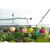 Max Plastic Hanging Flower Pot Planter Basket for Plant Holder+Chain Pink- L