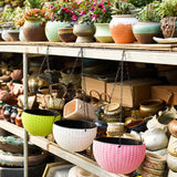 Max Plastic Hanging Flower Pot Planter Basket for Plant Holder+Chain Pink- L