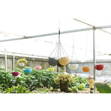 Max Plastic Hanging Flower Pot Planter Basket for Plant Holder+Chain Grey- S