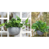 Max Plastic Hanging Flower Pot Planter Basket for Plant Holder+Chain Grey- L