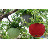 Max Plastic Hanging Flower Pot Planter Basket for Plant Holder+Chain Red- S