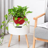Max Plastic Hanging Flower Pot Planter Basket for Plant Holder+Chain Red- S
