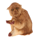 Max Lifelike Kneeling Monkey Statue Indoor Outdoor Ornament  Model Figure Dark