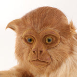 Max Lifelike Kneeling Monkey Statue Indoor Outdoor Ornament  Model Figure Light