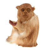 Max Lifelike Kneeling Monkey Statue Indoor Outdoor Ornament  Model Figure Light