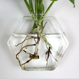 Max Wall Hanging Planter Glass Hydroponic Vase Plant Pot Terrarium Hexagon 13cm