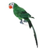 Max 45cm Artificial Parrot Bird Realistic Home Decor Budgie Taxidermy Green