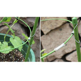 Max Plant Support Rings Garden Trellis Climbing Plants Flowers Grow Cage 60cm
