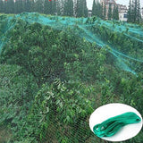 Max 3 Size Anti Bird Net Netting Mesh Protection Plants Veg Crops Garden  2x5m