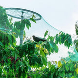 Max 3 Size Anti Bird Net Netting Mesh Protection Plants Veg Crops Garden  2x5m