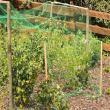 Max 3 Size Anti Bird Net Netting Mesh Protection Plants Veg Crops Garden  2x5m