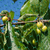 Max 3 Size Anti Bird Net Netting Mesh Protection Plants Veg Crops Garden  2x5m
