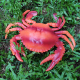 Max Fake Model Dispaly Artificial Marine Animals Decoration Red Crab - A