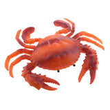 Max Fake Model Dispaly Artificial Marine Animals Decoration Red Crab - A