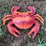 Max Fake Model Dispaly Artificial Marine Animals Decoration Red Crab - A
