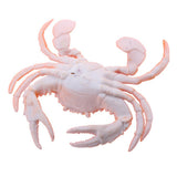 Max Fake Model Dispaly Artificial Marine Animals Decoration Red Crab - B