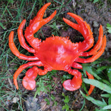 Max Fake Model Dispaly Artificial Marine Animals Decoration Red Crab - B