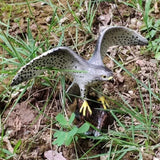 Max Miniature Animals Birds Model Figurine Statue Scupltue Toy  Peregrine Falcon