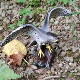 Max Miniature Animals Birds Model Figurine Statue Scupltue Toy  Peregrine Falcon