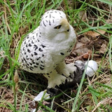 Max Miniature Animals Birds Model Figurine Statue Scupltue Toy  Snowy Owl