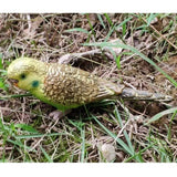Max Miniature Animals Birds Model Figurine Statue Scupltue Toy  Parrot 1