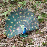 Max Miniature Animals Birds Model Figurine Statue Scuplture Toy  Peacock