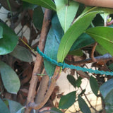 Max Garden Plant Tie Plastic Reusable Ties Tree Climbing Support Garden Tie 23CM