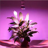 Max E27 8/10W Full Spectrum LED Grow Light Bulb for Indoor Plant Grow 8W 18 LED