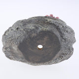 Max Creative cartoon succulent plant landscape resin flowerpot Tortoise