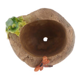 Max Creative cartoon succulent plant landscape resin flowerpot Frog Hunting