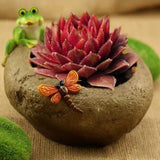 Max Creative cartoon succulent plant landscape resin flowerpot Frog Hunting