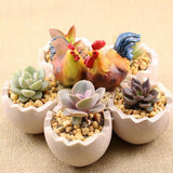 Max Chick and Eggshell Creative Cute succulent plant landscape resin flowerpot