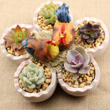 Max Chick and Eggshell Creative Cute succulent plant landscape resin flowerpot