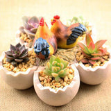 Max Chick and Eggshell Creative Cute succulent plant landscape resin flowerpot