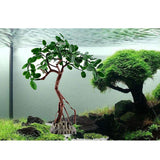 Max Aquarium Fish Tank Landscaping Simulation Plant Simulated Banyan