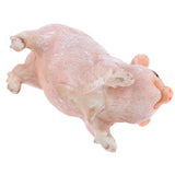 Max Resin Craft Pig Statue Garden Decor Animal Sculpture C:Sitting Pig