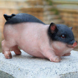 Max Resin Craft Pig Statue Garden Decor Animal Sculpture E:Colorful Sitting Pig