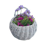 Max Maxb Flower Basket Green Vine Pot Hanging Plant Basket White Birdnest Set