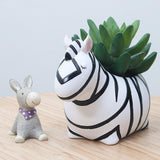Max Cute Animal Succulent Planter Bonsai Pot Flowerpot Office Home Decor Zebra