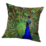 Square Cushion Cover for Soft Car Home Decor Green peacock 50x50cm