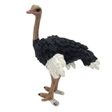 Max Figurines Animals Model Action Figures for Kids Collection Toys Ostrich