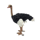 Max Figurines Animals Model Action Figures for Kids Collection Toys Ostrich