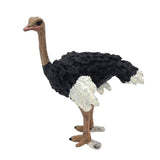 Max Figurines Animals Model Action Figures for Kids Collection Toys Ostrich