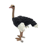 Max Figurines Animals Model Action Figures for Kids Collection Toys Ostrich