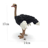 Max Figurines Animals Model Action Figures for Kids Collection Toys Ostrich